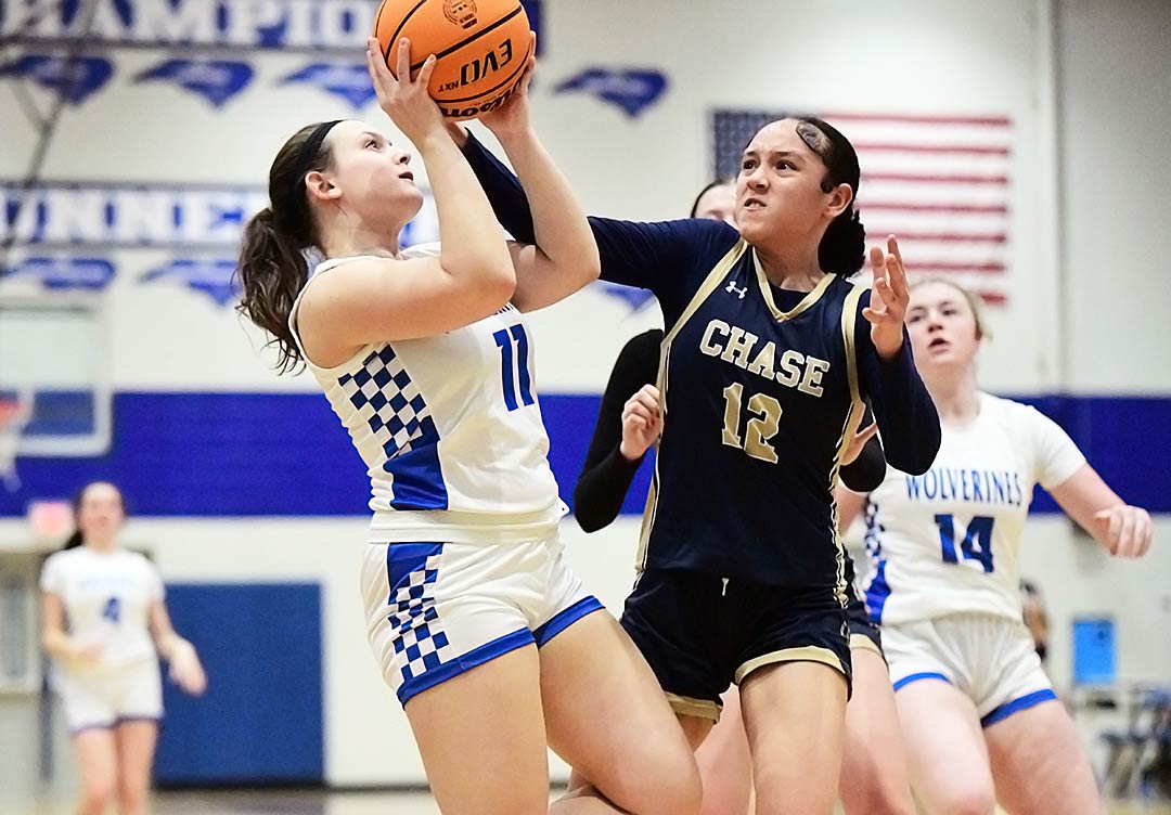 Polk County's Jeri Allen fights to get a shot off during the second half of Friday's game
